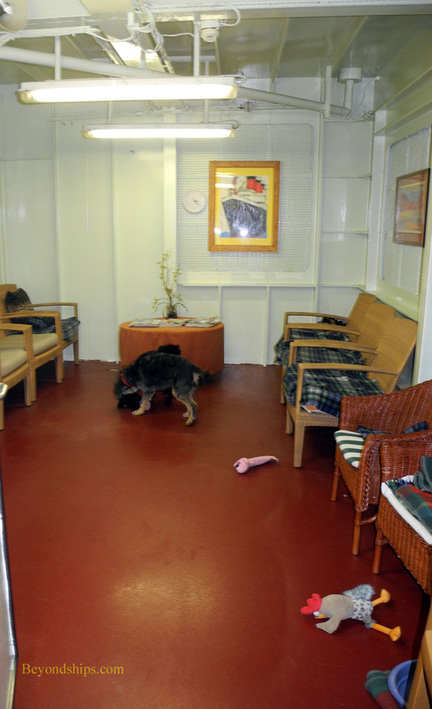 Kennels playroom on Queen Mary 2