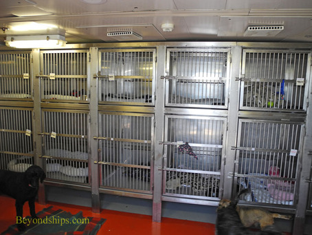The kennels on Queen Mary 2