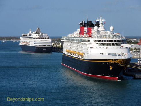 Disney Magic and Ryndam cruise ships