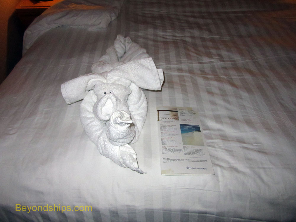 towel animal on cruise ship Westerdam